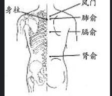 清代按摩经的24式手法