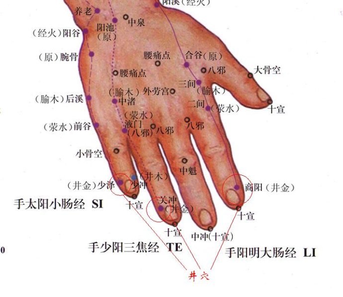 中医针灸的主要治疗作用