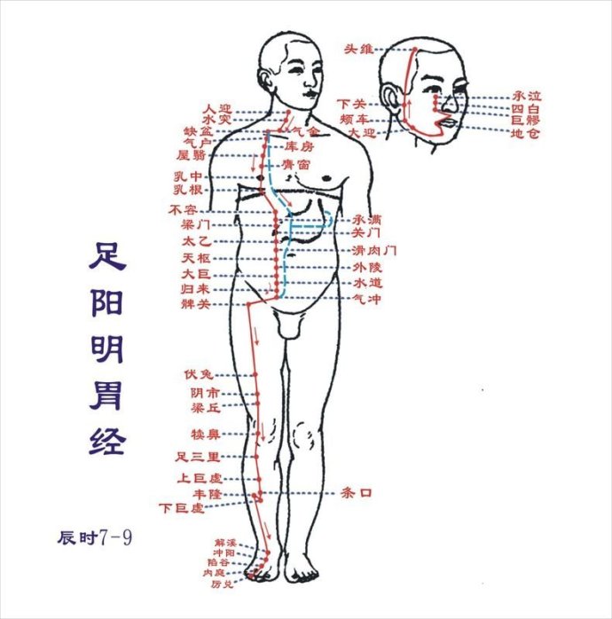 中医针灸的主要治疗作用