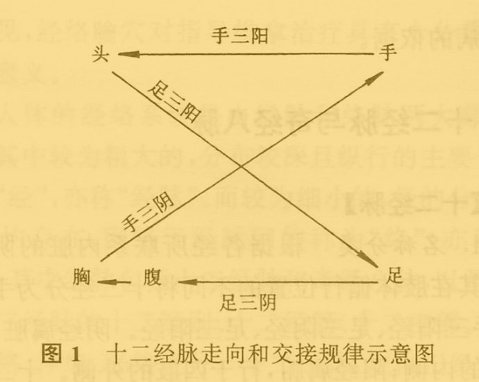 推拿基础