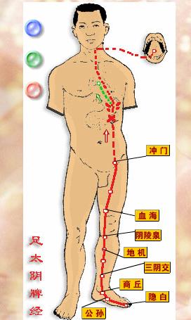 老腹泻 <wbr>试试针灸疗法