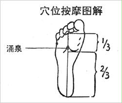 拔罐养生常用穴位