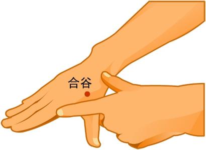 拔罐养生常用穴位
