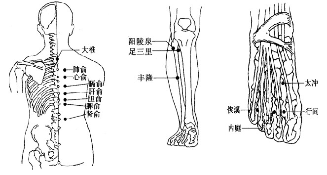 中医6大穴位止痛防病受用一生(二)