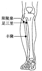 女人肾精足，衰老慢，中医补肾法